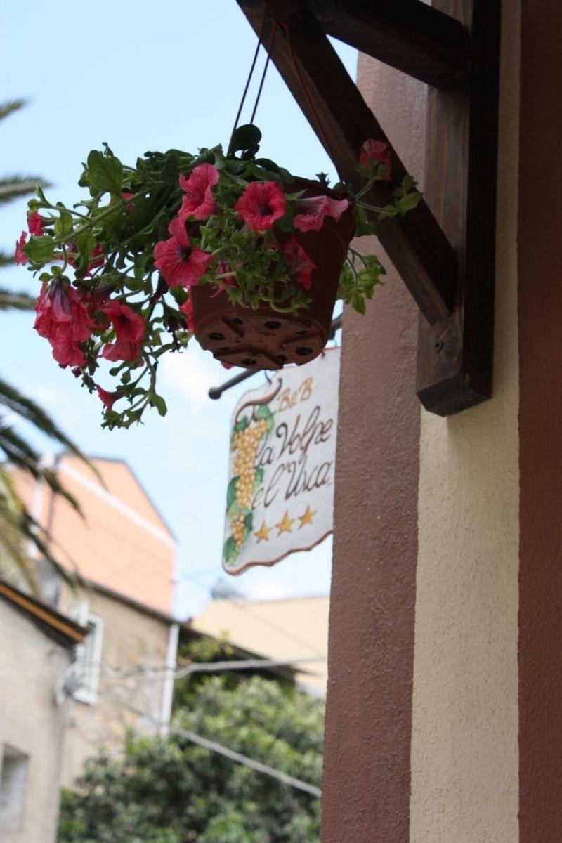 La Volpe E L'Uva B&B Piazza Armerina Bagian luar foto